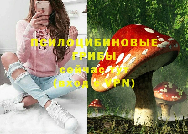 шишки Аша