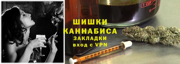 дживик Новозыбков