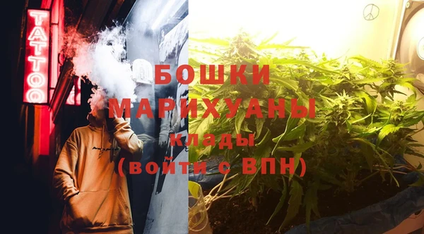 дживик Новозыбков
