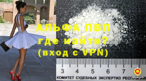 дживик Новозыбков
