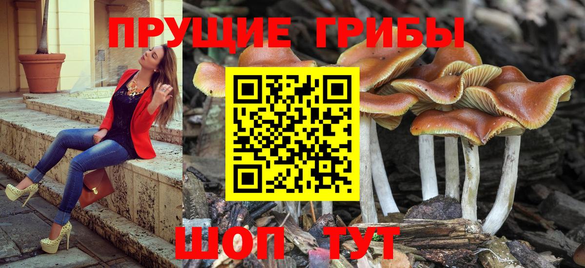 Галлюциногенные грибы GOLDEN TEACHER Мурманск