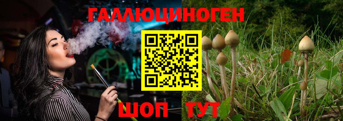 Галлюциногенные грибы GOLDEN TEACHER  Мурманск  Галлюциногенные грибы MAGIC MUSHROOMS 