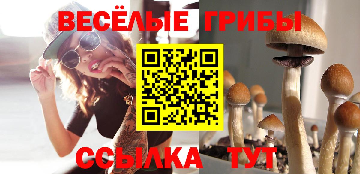 Галлюциногенные грибы MAGIC MUSHROOMS Мурманск